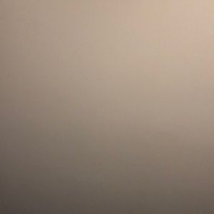 Meet your Posher, Tamara